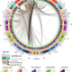 Illustration for article titled 164 years later, researchers map Phineas Gages pierced brain